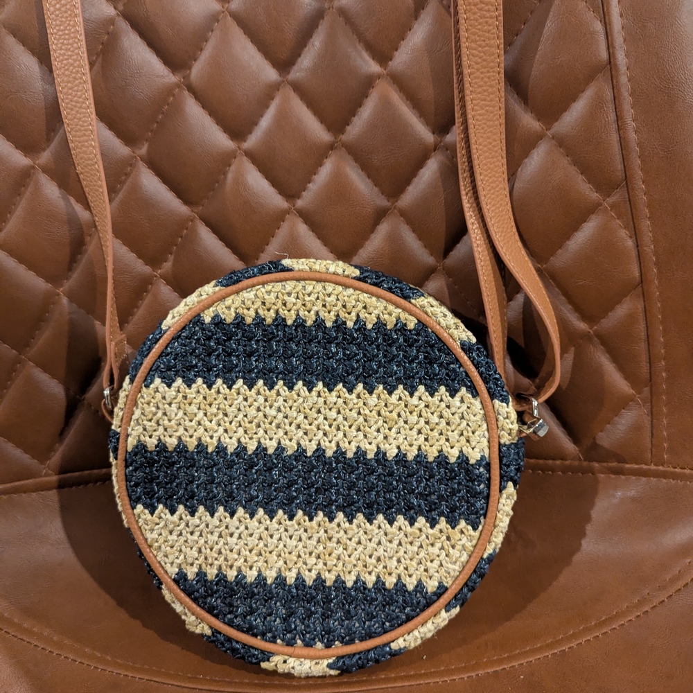 Chic Striped Crossbody Bag in Tan and Navy